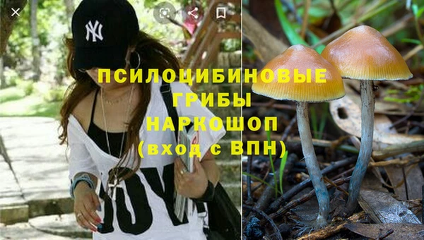 мяу мяу мука Верхнеуральск