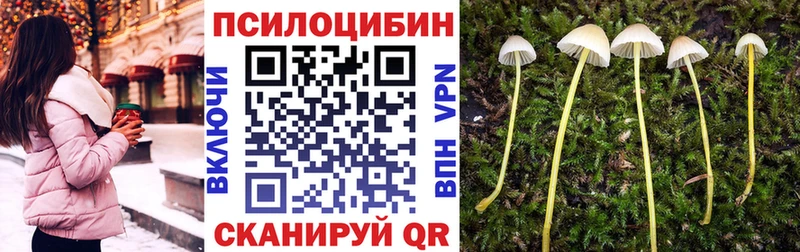Галлюциногенные грибы GOLDEN TEACHER  Купить закладки  Лагань 